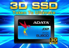 Photo ADATA uvádza 3D NAND SATA 6Gb/s SSD disky SU800 M.2 2280