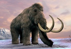 Photo Nebezpečná vedecká hra s oživením mamuta srstnatého